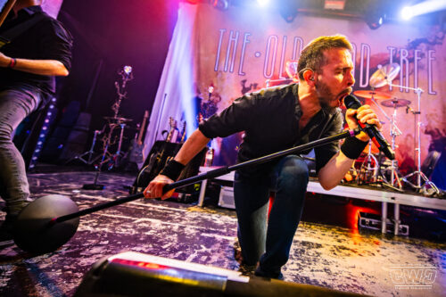 THE OLD DEAD TREE Live L'Empreinte Savigny-le-Temple 2025