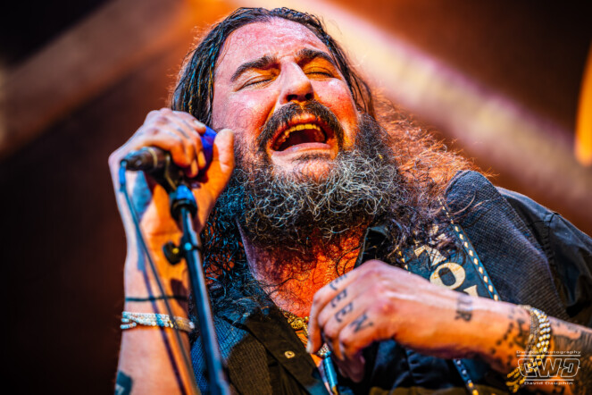 STONE SENATE Live Le Stock Mennecy 2026